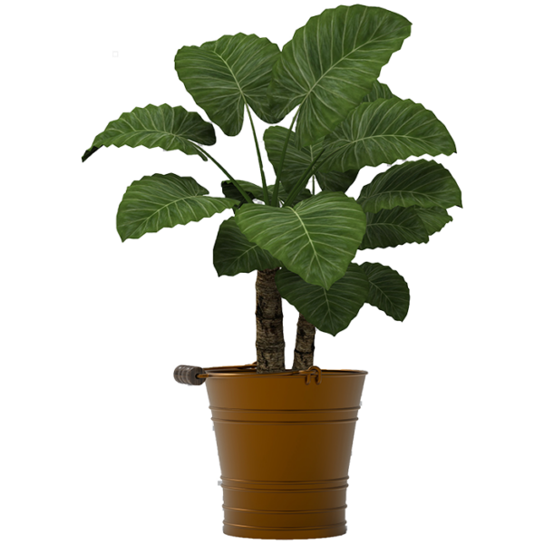 Gardening Pot